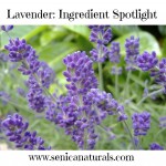 Lavender Ingredient Spotlight