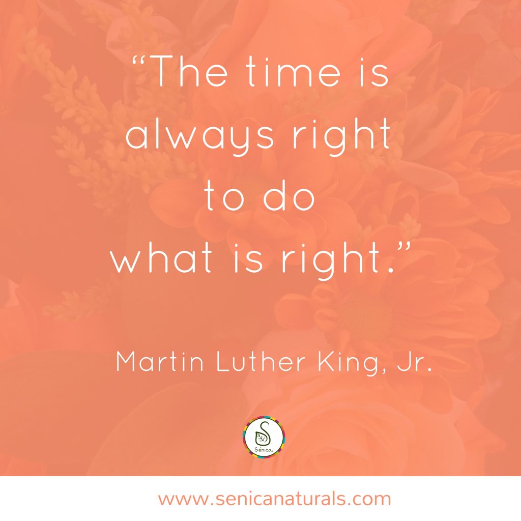 time is always right MLKJr Quote