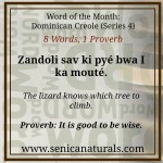 WOM Series 4 Proverb